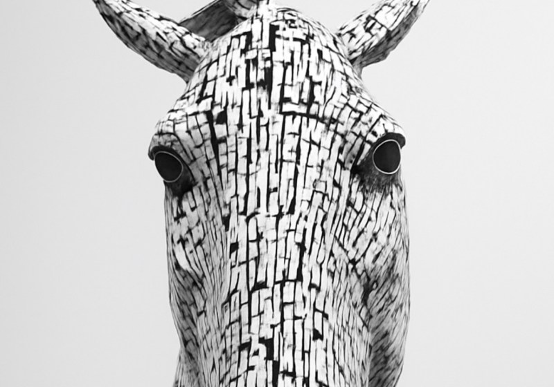 An image of the voder of Debunked: 7 Health “Facts” That Are Quietly Hurting You. A stylized horse peers at us. The title and author's name are at the type.